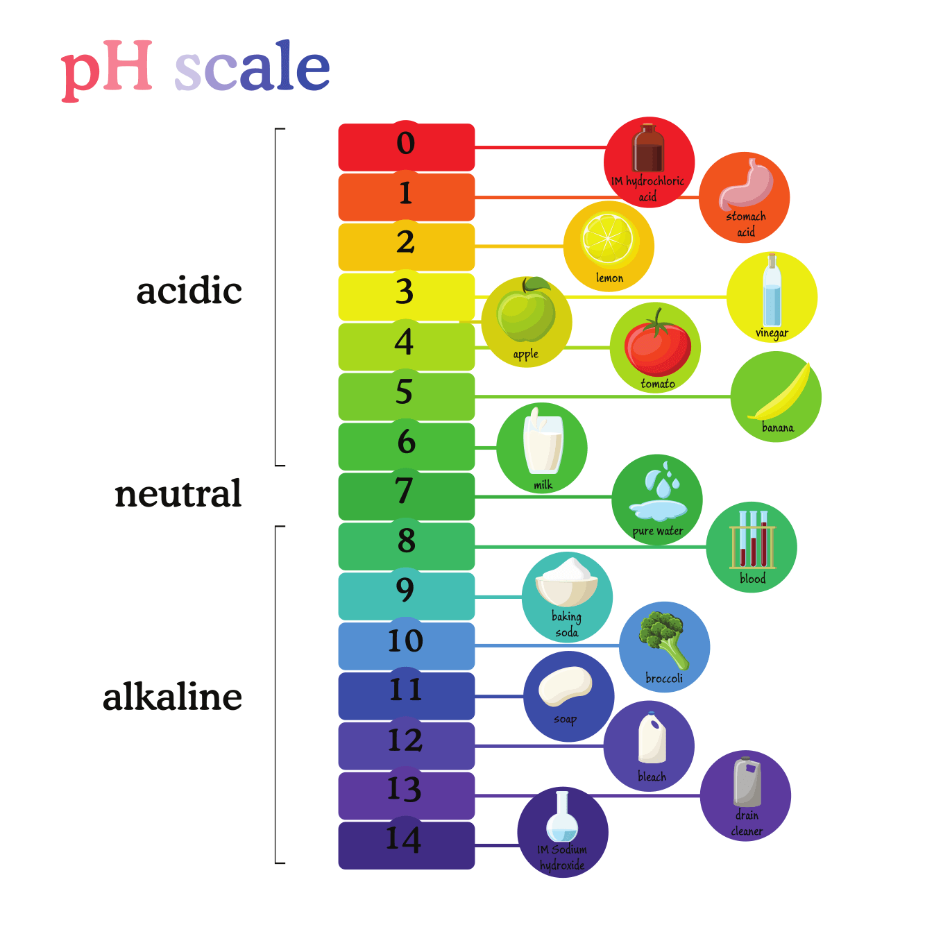 Escala De Ph Con Ejemplos De Alimentos Un Guía Completo - Hypothese